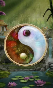 Panda Money